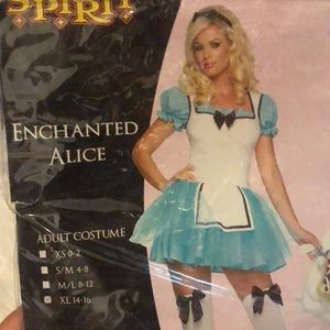 Alice in wonderland Enchanted Alice costume XL